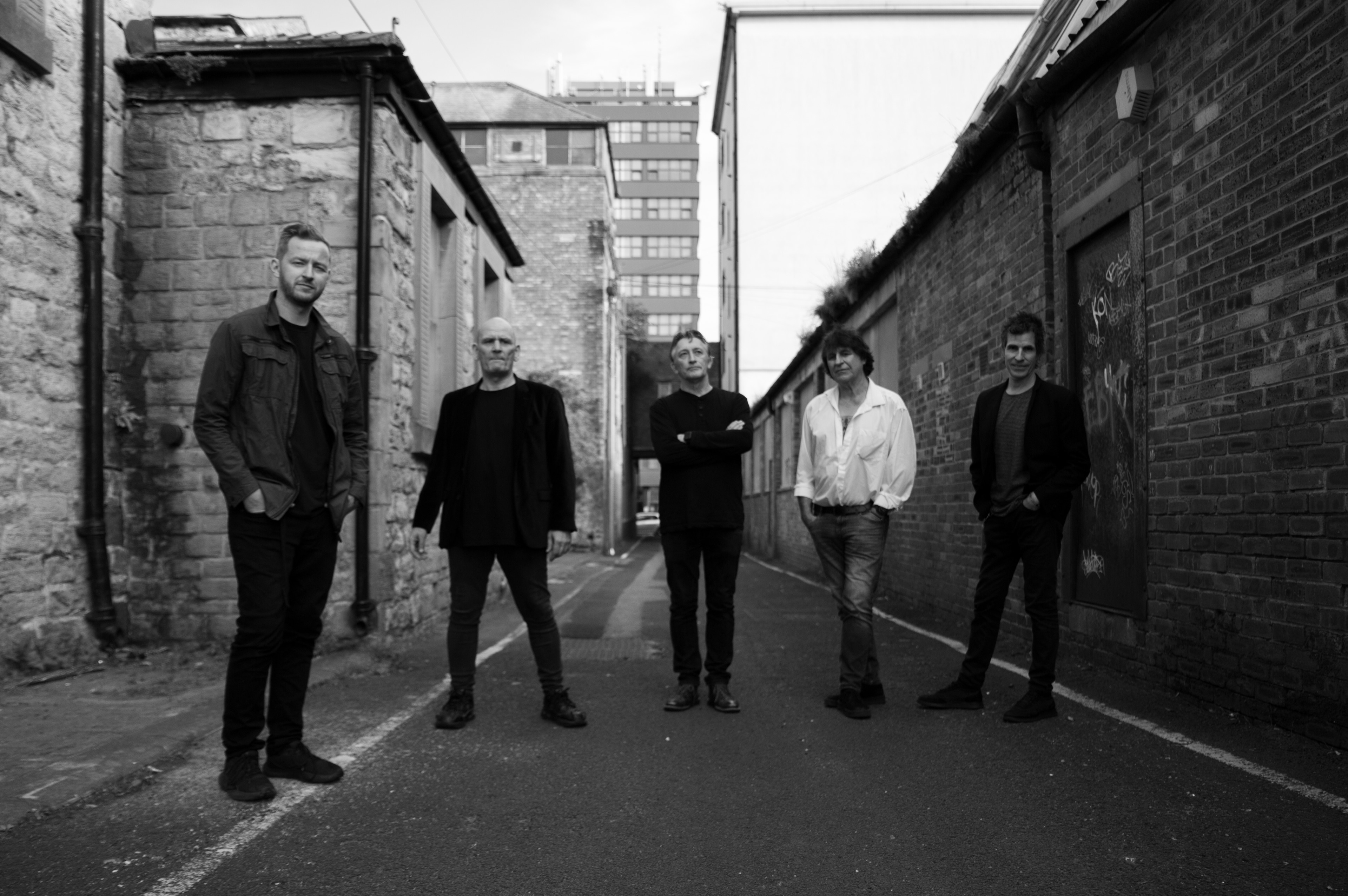 The Chameleons - Barracuda Music